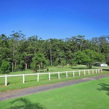 Cabin Country Retreat Paskins Farm Palmwoods Екстериор снимка