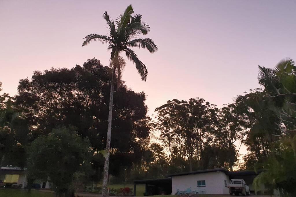 Cabin Country Retreat Paskins Farm Palmwoods Екстериор снимка