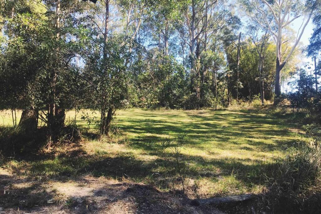 Cabin Country Retreat Paskins Farm Palmwoods Екстериор снимка